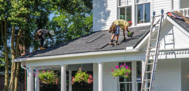 Best Green or Eco-Friendly Roofing Solutions  in Nellysford, VA